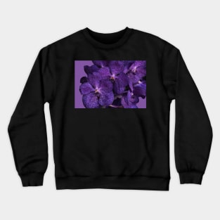 Branch of purple orchids close-up Crewneck Sweatshirt